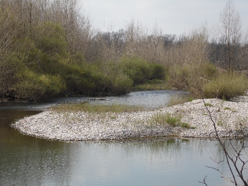 Parco del ticino 7.4.13